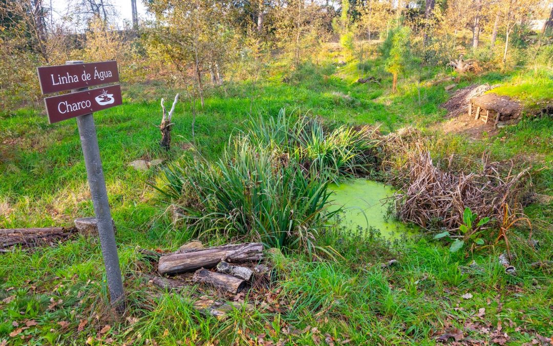 O garante da salvaguarda ambiental, no vale do rio Sousa