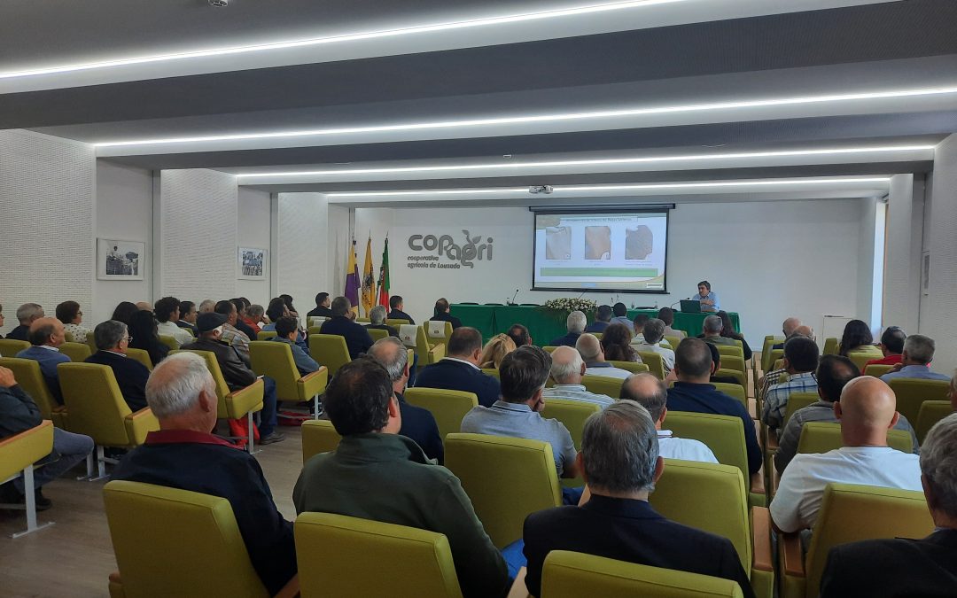 COPAGRI acolhe Dia do Produtor PEC Nordeste