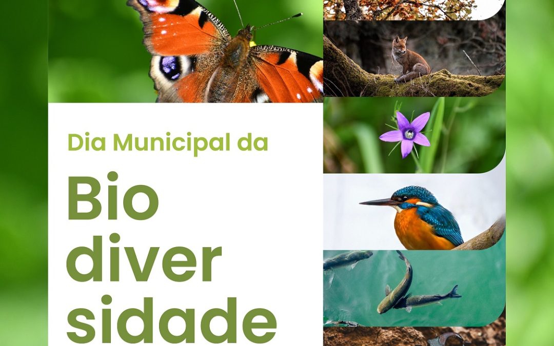 Dia Municipal da Biodiversidade celebrado no Parque Urbano Dr. Mário Fonseca