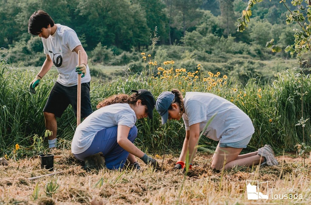 Lousada no pódio europeu de árvores plantadas em Portugal