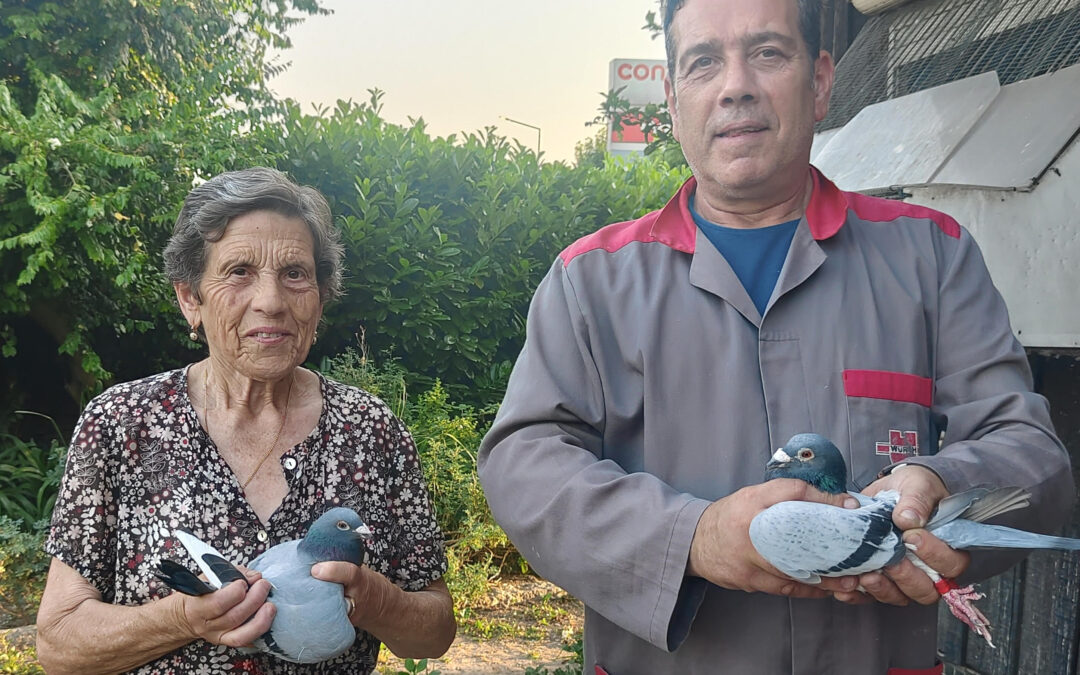 Os pombos (também) são uma terapia