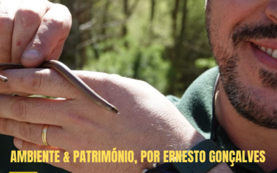 O LICRANÇO – não é uma cobra, nem representa perigo… então, porque o tememos tanto?