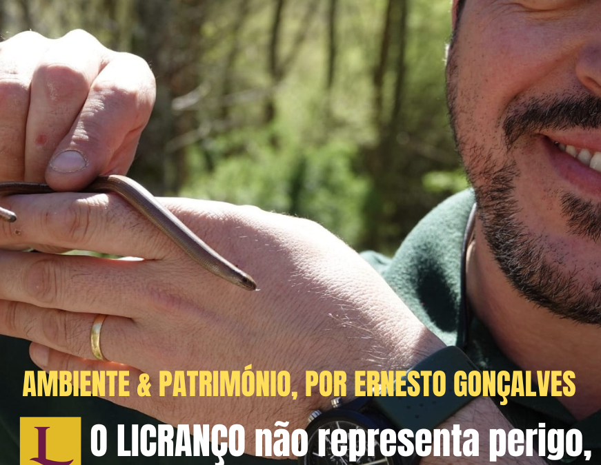O LICRANÇO – não é uma cobra, nem representa perigo… então, porque o tememos tanto?